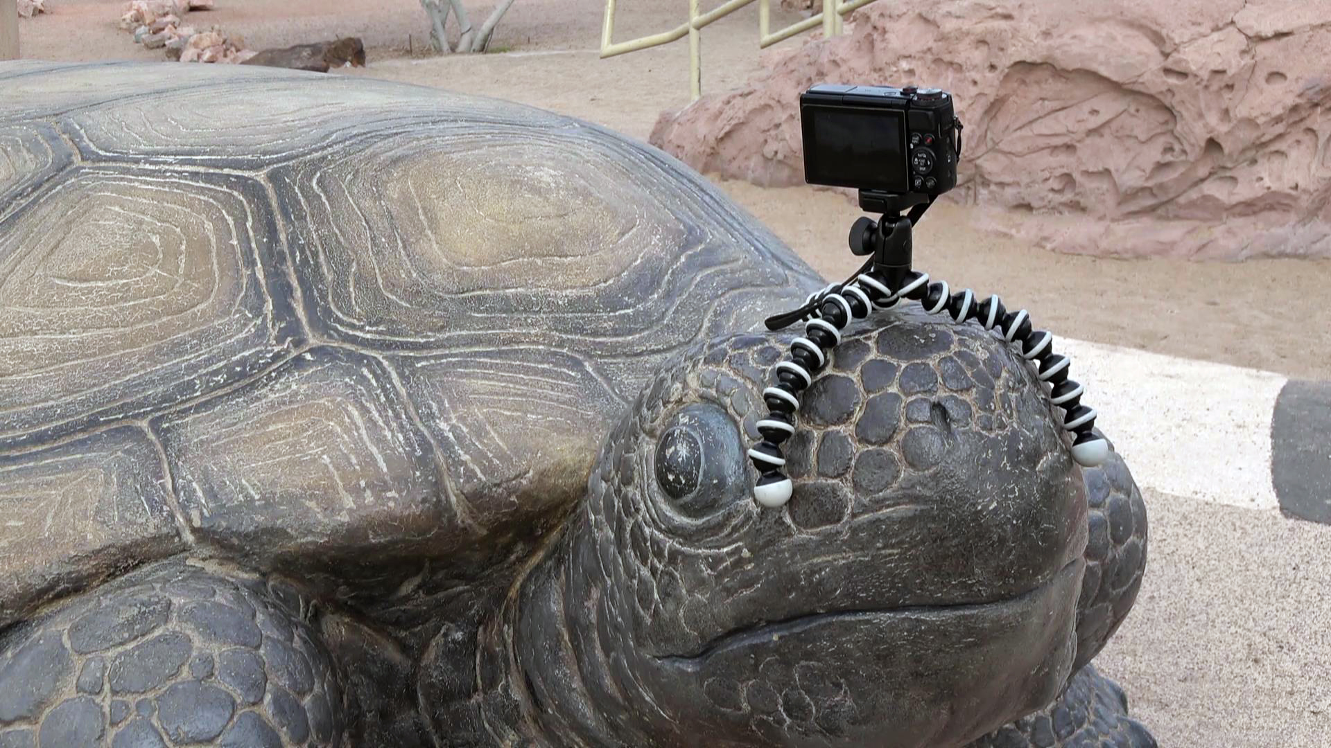 Selfie Sticks, Mini Tripods, & Camera Accessories for Travel Photos & Videos
